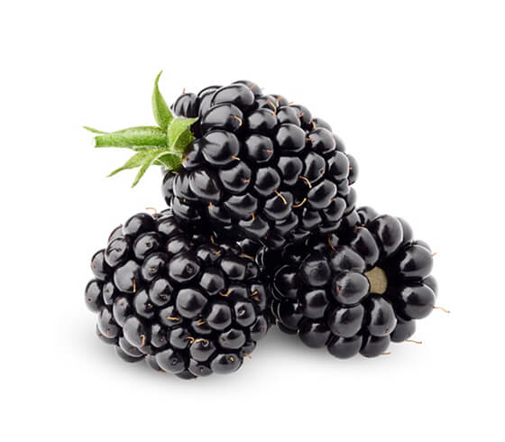 Blackberry