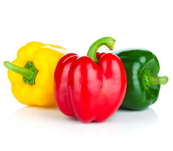 Capsicum
