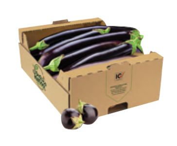 Carton