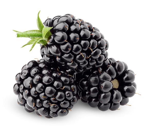Blackberry product
