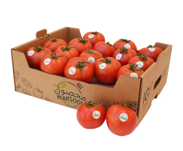 Beef Tomato