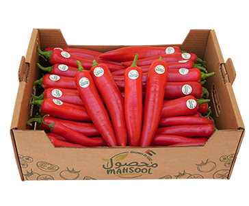 Chilli Long