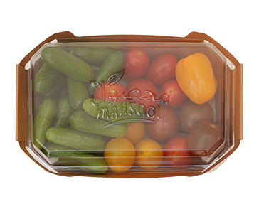 Cucumber with Mixed Cherry Tomatoes