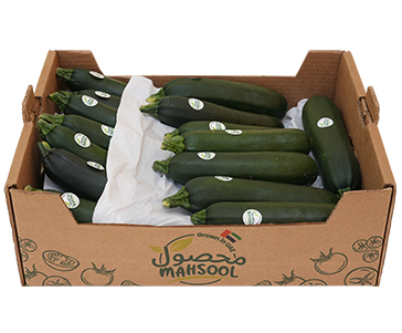 Green Courgette